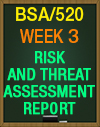 BSA/520 Week 3 Risk and Threat Assessment Report
